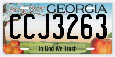 GA license plate CCJ3263