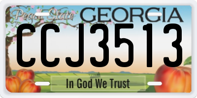 GA license plate CCJ3513