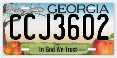 GA license plate CCJ3602