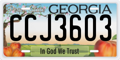 GA license plate CCJ3603