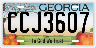 GA license plate CCJ3607
