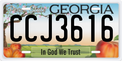 GA license plate CCJ3616