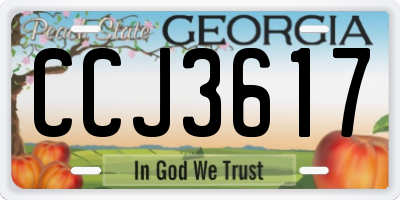 GA license plate CCJ3617