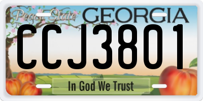 GA license plate CCJ3801