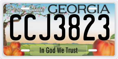 GA license plate CCJ3823
