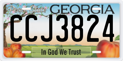 GA license plate CCJ3824