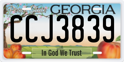 GA license plate CCJ3839