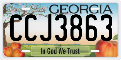 GA license plate CCJ3863