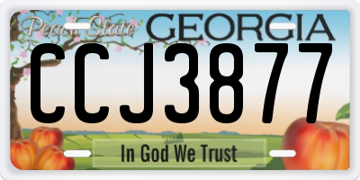 GA license plate CCJ3877