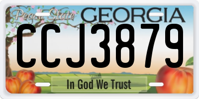 GA license plate CCJ3879