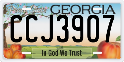 GA license plate CCJ3907
