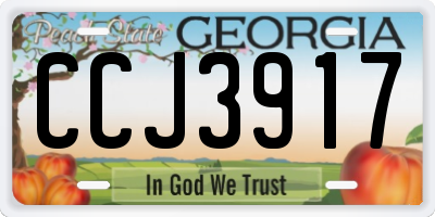 GA license plate CCJ3917