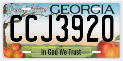 GA license plate CCJ3920
