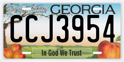 GA license plate CCJ3954