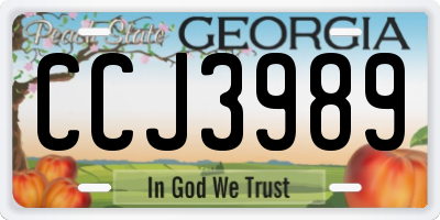 GA license plate CCJ3989