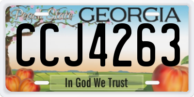 GA license plate CCJ4263