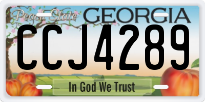 GA license plate CCJ4289