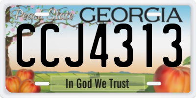 GA license plate CCJ4313