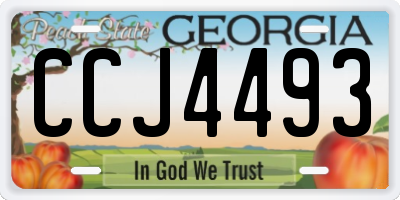 GA license plate CCJ4493