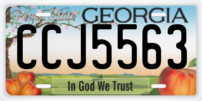 GA license plate CCJ5563