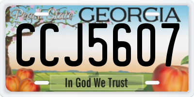 GA license plate CCJ5607