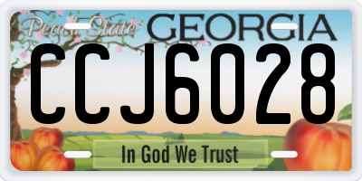 GA license plate CCJ6028