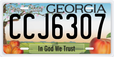 GA license plate CCJ6307