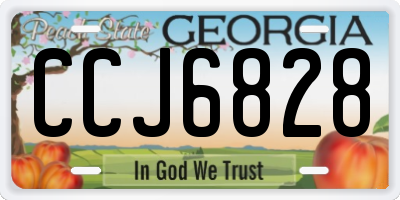 GA license plate CCJ6828