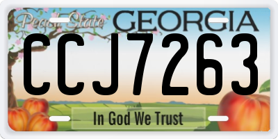 GA license plate CCJ7263