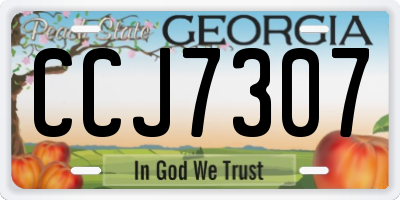 GA license plate CCJ7307