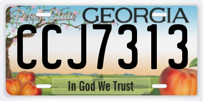GA license plate CCJ7313
