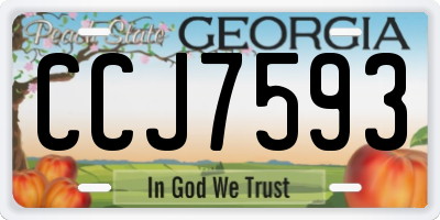 GA license plate CCJ7593