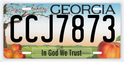 GA license plate CCJ7873