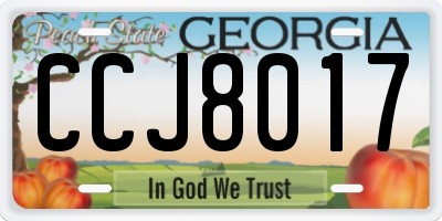 GA license plate CCJ8017
