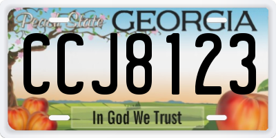 GA license plate CCJ8123