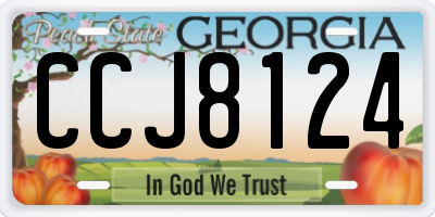 GA license plate CCJ8124