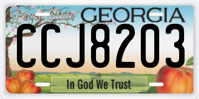 GA license plate CCJ8203