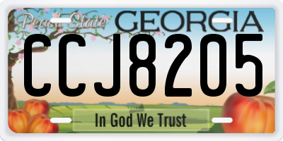 GA license plate CCJ8205