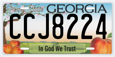 GA license plate CCJ8224