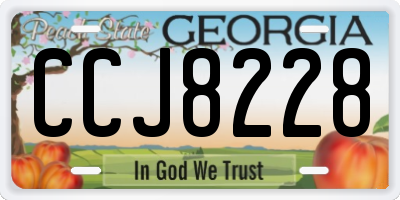 GA license plate CCJ8228