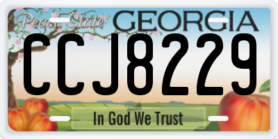 GA license plate CCJ8229