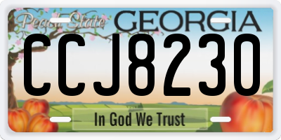 GA license plate CCJ8230