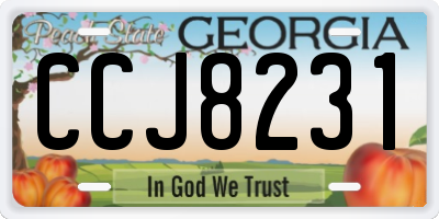GA license plate CCJ8231