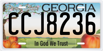 GA license plate CCJ8236
