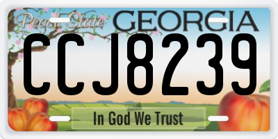 GA license plate CCJ8239