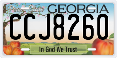 GA license plate CCJ8260