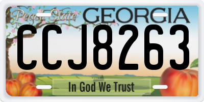GA license plate CCJ8263