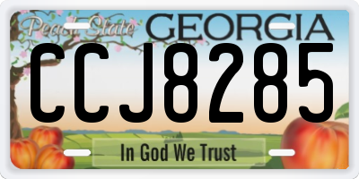GA license plate CCJ8285