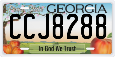 GA license plate CCJ8288