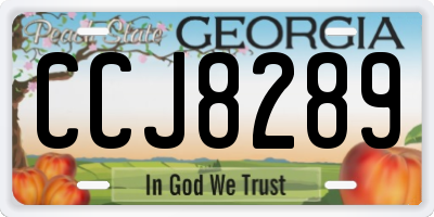 GA license plate CCJ8289